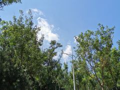 -阳台山自然风景区