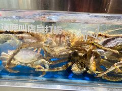 避风塘炒虾-盒马鲜生(财富中心店)