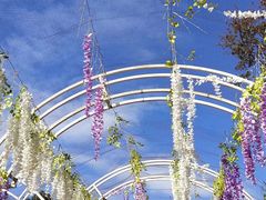 -云漫湖生态度假公园