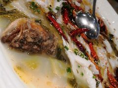 -九毛九西北菜(大东海店)