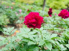 -江南大学(蠡湖校区)