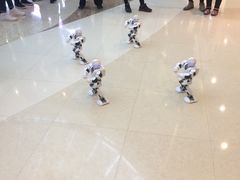 -万达广场(齐齐哈尔建华店)