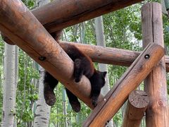 -北京野生动物园