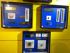 -上海昆虫博物馆