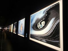 -罗红摄影艺术馆