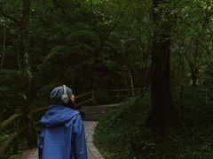 -牛背梁国家森林公园