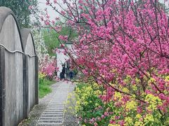 -南汇桃花村