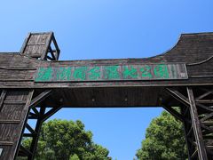 -溱湖国家湿地公园