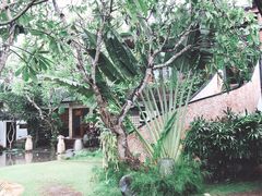 大堂-红帽海鲜餐馆