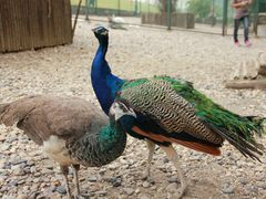 -南京金牛湖风景区