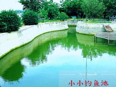 -大自然农场蔬菜草莓采摘园