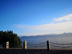 -深圳湾公园(南山区)
