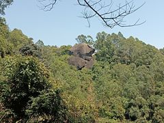 -火炉山森林公园