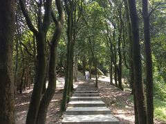 -火炉山森林公园
