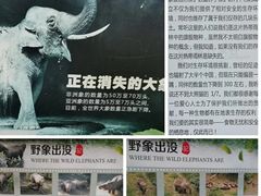 -西双版纳原始森林公园