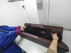 -爱侣·安琦尔宠物医院·中兽医针灸·心内科·狂犬免疫点(宝山区院)