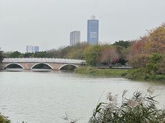 -海珠湖公园