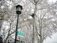 -杭州西湖风景名胜区-北街寻梦