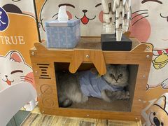 -小时光咖啡馆(北锣鼓巷店)