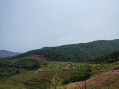-蔡伦竹海