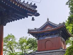 -北京艺术博物馆(万寿寺)