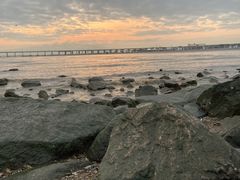 -宝安西湾红树林湿地公园