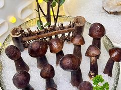 -喜聚薈·花膠雞海鮮火鍋(越秀店)
