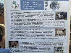 -青藏高原野生动物园