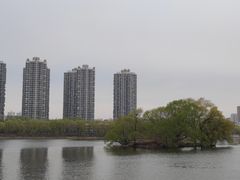 -长白岛森林公园