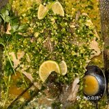 重口味爱好者的天堂[吐舌]对面是WC‼️