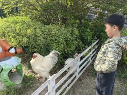 -造物庄园 萌宠纪(苏州湾歌林公园店)