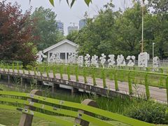 -金银湖国家城市湿地公园