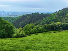 -敬亭山风景名胜区