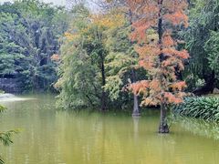 -人民公园(罗湖区)