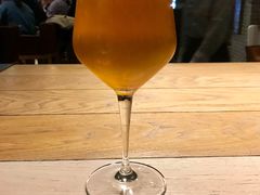 赵飞燕-Goose Island Brewhouse鹅岛精酿啤酒酿造工坊餐厅
