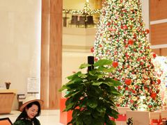 -深圳星河丽思卡尔顿酒店