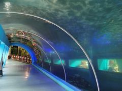 -北国之春国宴(乌兰察布店)