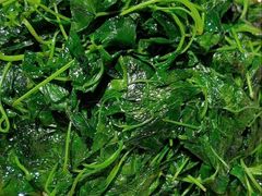 -老瑞福上海菜(人民广场店)