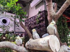 -正佳雨林生态植物园