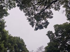 -广东胜利宾馆西关粤中餐厅