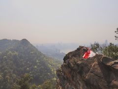 -南山植物园