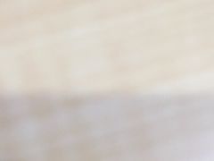 -稻田秋日式面包