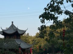 -忠山公园