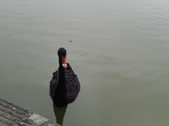 -洛阳市隋唐城遗址植物园