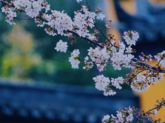 -鸡鸣寺