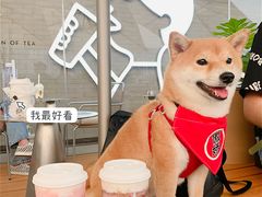 -喜茶(珠海华发商都店)