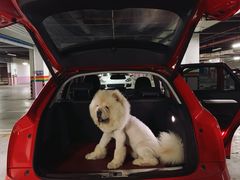 -重庆市江北嘴中央商务区中央公园