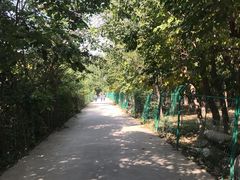-亲兄弟真人CS团建拓展基地