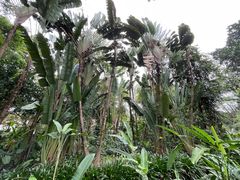 -中国科学院西双版纳热带植物园