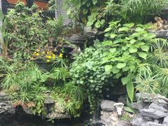 -粥旺庄(芳村店)